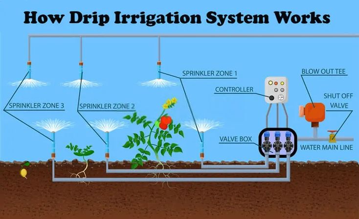 How Does a Drip System Work