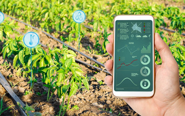 Smart Drip Irrigation: Using Sensors for Automation & Water Efficiency