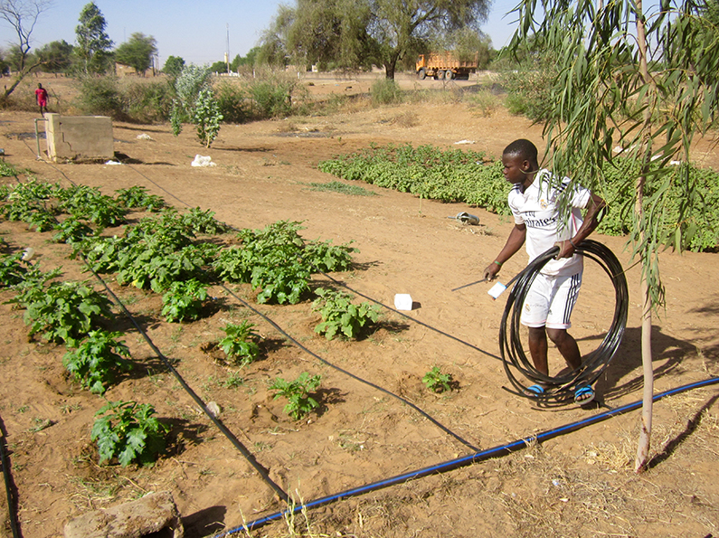 Step-by-Step Guide to Designing a Drip Irrigation System