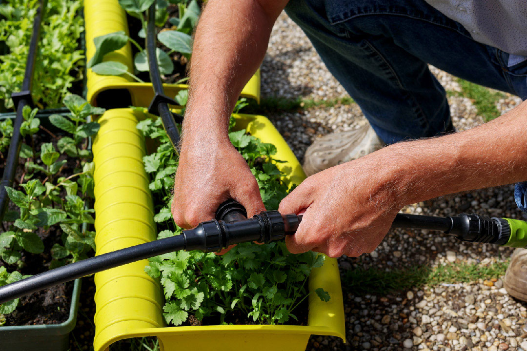 Water Pressure in Drip Systems: How to Optimize Flow