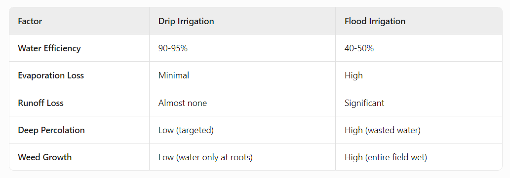 ​Water Efficiency: Drip vs. Flood