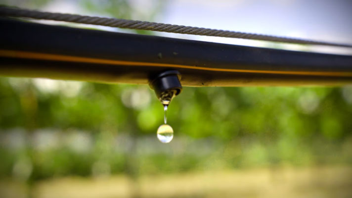 ​​Drip Irrigation in Arid Regions