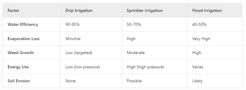 ​​Why Drip Irrigation Is More Efficient Than Other Methods​
